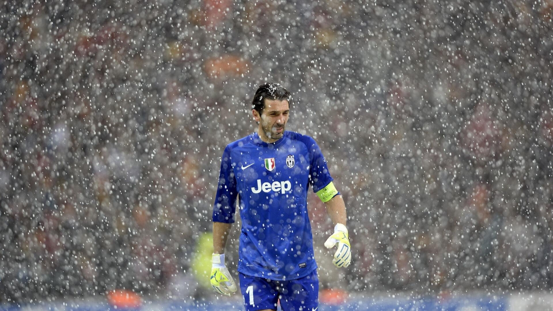 AYX官网-TL引入欧洲新星引关注